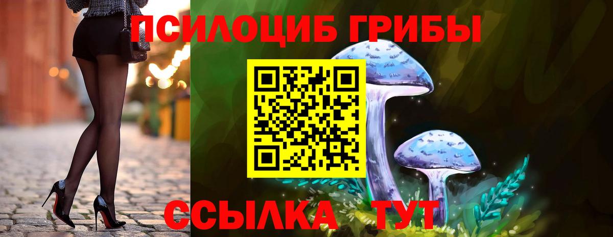 Псилоцибиновые грибы мицелий  Вход с VPN  Белово  Галлюциногенные грибы GOLDEN TEACHER 